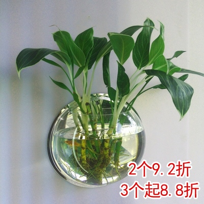 挂墙上的玻璃水花盆鱼缸壁挂式养殖小鱼墙面中式墙饰绿色养花造景|ruв категории Домашний быт, роспись - от Buy2taobao.com для оказания профессиональной услуги покупки агента Taobao