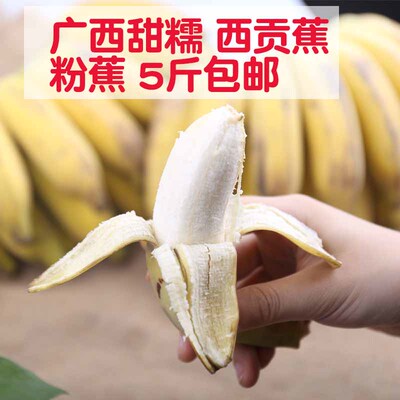 粉蕉西贡蕉新鲜包邮广西小米蕉5斤包邮苹果蕉非海南芭蕉巴蕉水果