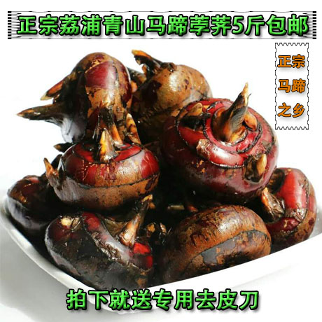 正宗广西特产荔浦马蹄荸荠新鲜原产地直供农家自种水果5斤装在类目 水产肉类/新鲜蔬果/熟食, 新鲜蔬菜/蔬菜制品, 新鲜蔬菜, 其它中 - 来自Buy2taobao.com提供专业的淘宝代购服务
