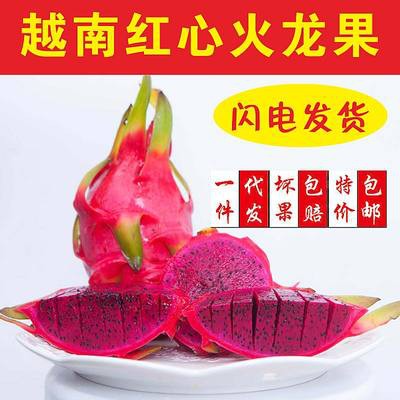 越南红心火龙果新鲜当季红肉火龙果应季水果约4斤3-6个坏果包赔|msdalam kategori daging perikanan/Buah-buahan segar dan sayur-sayuran/dimasak, buah-buahan segar, Pitaya - dari Buy2taobao.com untuk memberikan perkhidmatan ejen Taobao profesional membeli
