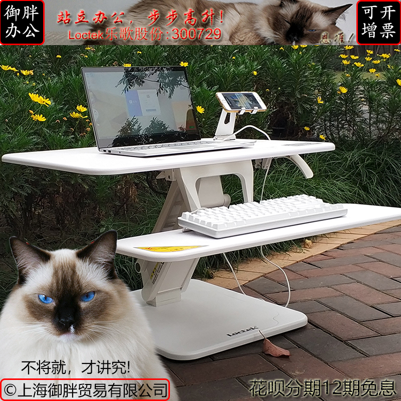 Loctek/乐歌 M3s 笔记本电脑显示器桌面折叠增高工作台站立办公桌在类目 商业/办公家具, 办公家具, 办公桌, 办公电脑桌中 - 来自Buy2taobao.com提供专业的淘宝代购服务