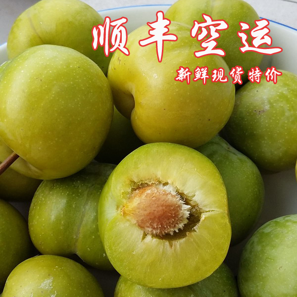 四川李子新鮮水果5斤順豐空運包郵脆甜 脫骨李清脆李江安李土李子在類目 水產肉類/新鮮蔬果/熟食, 新鮮水果, 李子中 - 來自Buy2taobao.com提供專業的淘寶代購服務