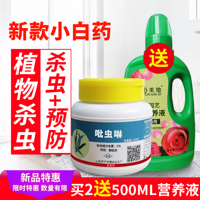 土壤杀虫剂地下害虫花卉植物通用蚧壳虫专用蚜虫吡虫啉小白药多肉