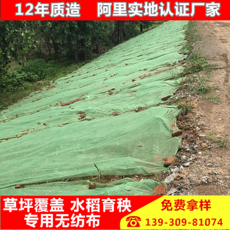 园林绿化无纺布 山体公路护坡草籽覆盖 盖土工地防扬尘无纺布环保在类目 农机/农具/农膜, 农膜/篷布/遮网/大棚, 农用薄膜中 - 来自Buy2taobao.com提供专业的淘宝代购服务
