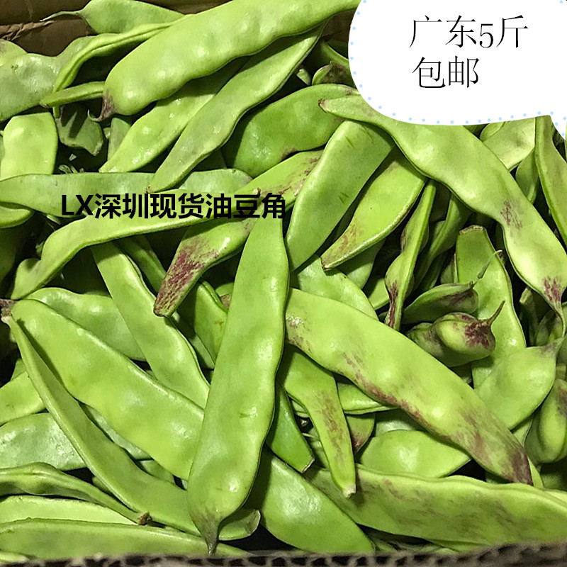 深圳现货东北特产 东北油豆角小油豆九月青一点红新鲜蔬菜 特别新|msdalam kategori daging perikanan/Buah-buahan segar dan sayur-sayuran/dimasak, sayur-sayuran segar/Vegetable Products, sayur-sayuran segar, lain - dari Buy2taobao.com untuk memberikan perkhidmatan ejen Taobao profesional membeli