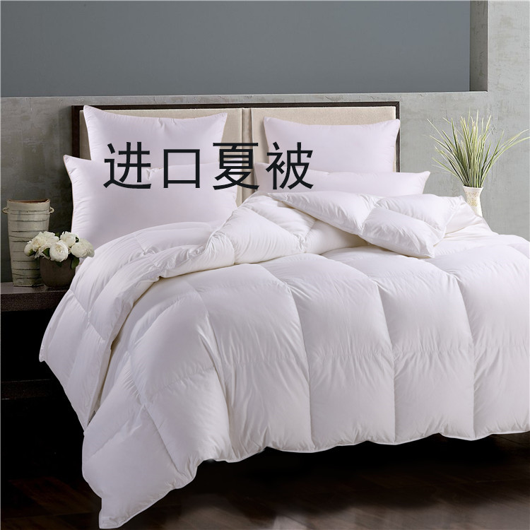 丽思卡尔顿 酒店 羽绒被95% 鹅绒被 保暖 轻柔 夏被 可定制|ruв категории постельные принадлежности, одеяло, перо/перина - от Buy2taobao.com для оказания профессиональной услуги покупки агента Taobao