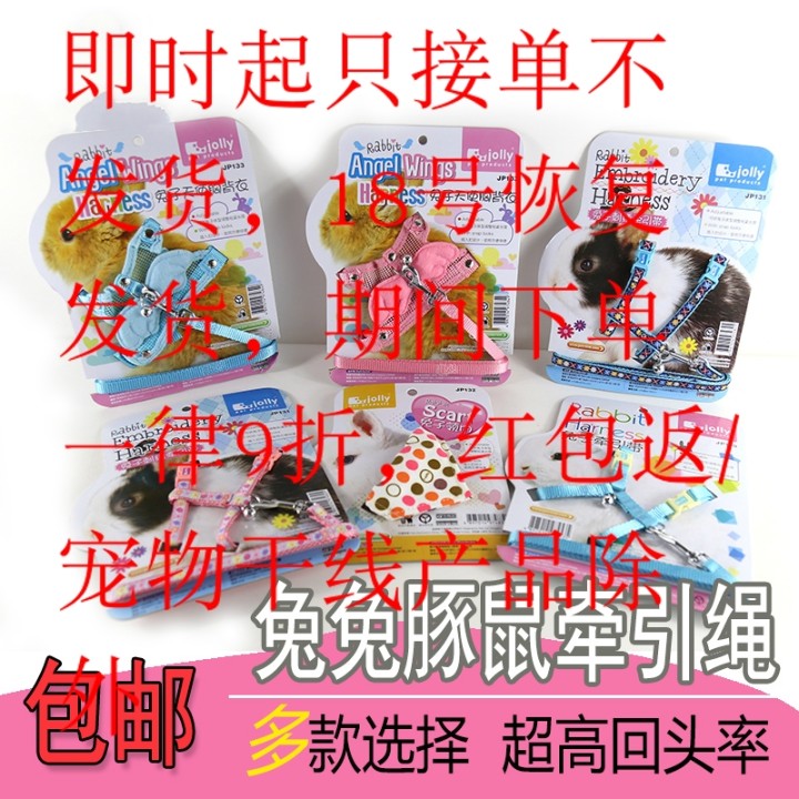 包邮 兔子豚鼠牵引绳 溜兔绳 保暖斗篷 胸背衣 领结 宠物兔用品在类目 宠物/宠物食品及用品, 兔类及其用品, 兔绳中 - 来自Buy2taobao.com提供专业的淘宝代购服务