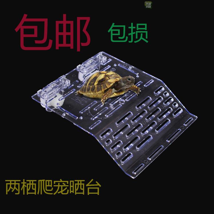乌龟晒台晒龟台水龟晒台浮岛台晒背台龟台乌龟爬坡浮岛新款包邮在类目 宠物/宠物食品及用品, 水族世界, 龟/鳖中 - 来自Buy2taobao.com提供专业的淘宝代购服务