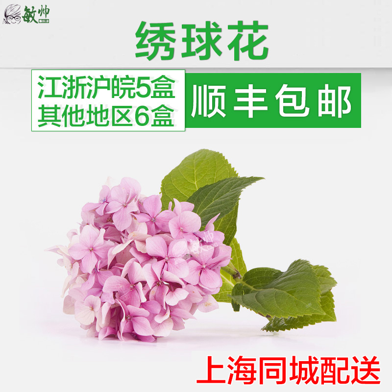 新鲜 绣球花 新鲜可食用绣球花 混合搭 盒装西餐装饰摆盘在类目 鲜花速递/花卉仿真/绿植园艺, 婚礼鲜花布置, 其它中 - 来自Buy2taobao.com提供专业的淘宝代购服务