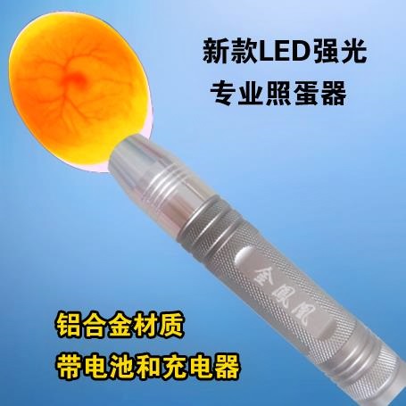 鸡蛋检测照蛋器检查受精蛋是否种蛋坏蛋强光LED充电手电筒|ruв категории оборудование/инструменты, приборы, электрический инструмент - от Buy2taobao.com для оказания профессиональной услуги покупки агента Taobao