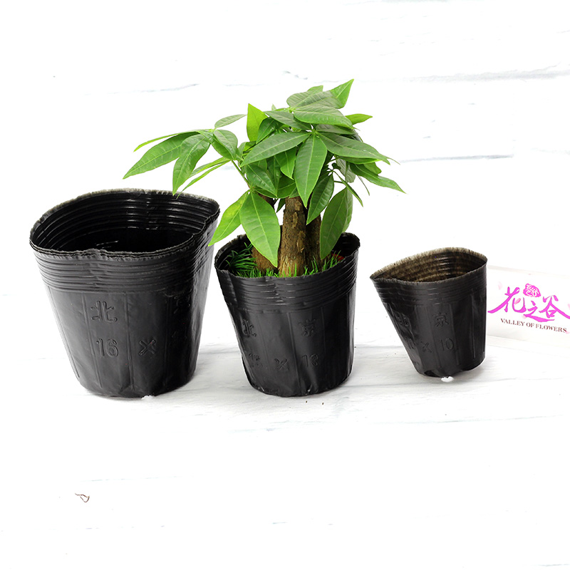 Nutritional bowl Nursery bags Nutrition bag Nutrition Cup Seedling Basin Vegetables plant grow seedlings Flower pot grow seedlingsin the Flower delivery/Flowers simulation/Plants gardening , Gardening supplies , Seedling tray/Nutritional bowl category - from Buy2taobao.com to provide professional Taobao agent buy service