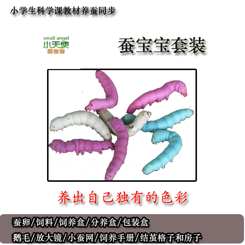 Polular Science student Silkworm suit Silkworm eggs feed Raise tool Complete Colorful Silkworm colour Cocoonin the Pet/Pet food and supplies , Reptile/Insects and supplies Ming , Silkworm category - from Buy2taobao.com to provide professional Taobao agent buy service