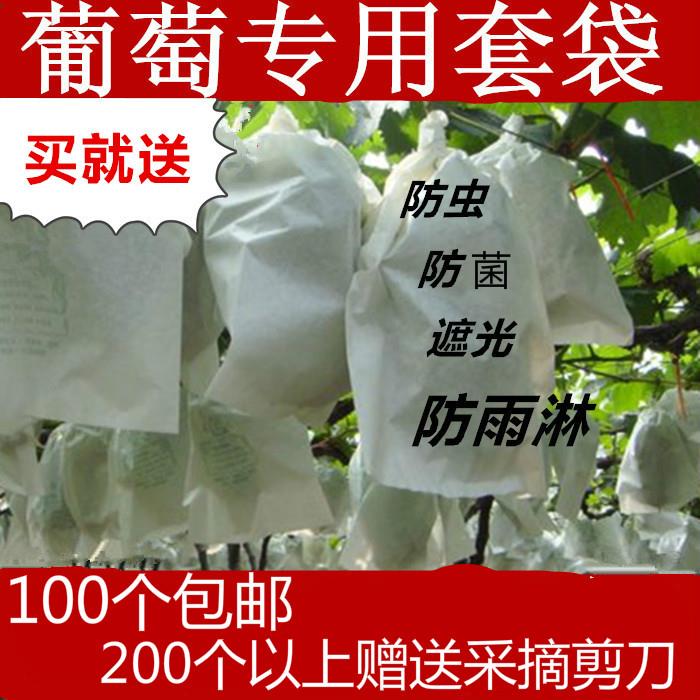 果園大號家用防雨育果袋水果套袋紙袋套子果樹薄膜保護套果實葡萄在類目 鮮花速遞/花卉仿真/綠植園藝, 園藝用品, 其它園藝用品中 - 來自Buy2taobao.com提供專業的淘寶代購服務