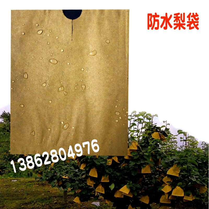 160*198优质双层梨袋桃子袋梨子套袋套袋脐橙套袋枇杷袋防水防虫在类目 鲜花速递/花卉仿真/绿植园艺, 园艺用品, 其它园艺用品中 - 来自Buy2taobao.com提供专业的淘宝代购服务