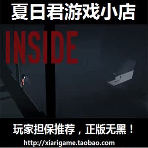 中文全球版 INSIDE 地狱边境 激活码 CDK PC