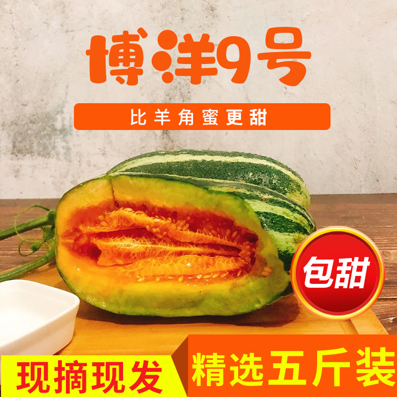 现摘现发博洋九号比羊角蜜羊角脆脆甜甜瓜香瓜自然生长带箱五斤|ruв категории водной мясо/свежие фрукты и овощи/еда, свежие фрукты, другие - от Buy2taobao.com для оказания профессиональной услуги покупки агента Taobao