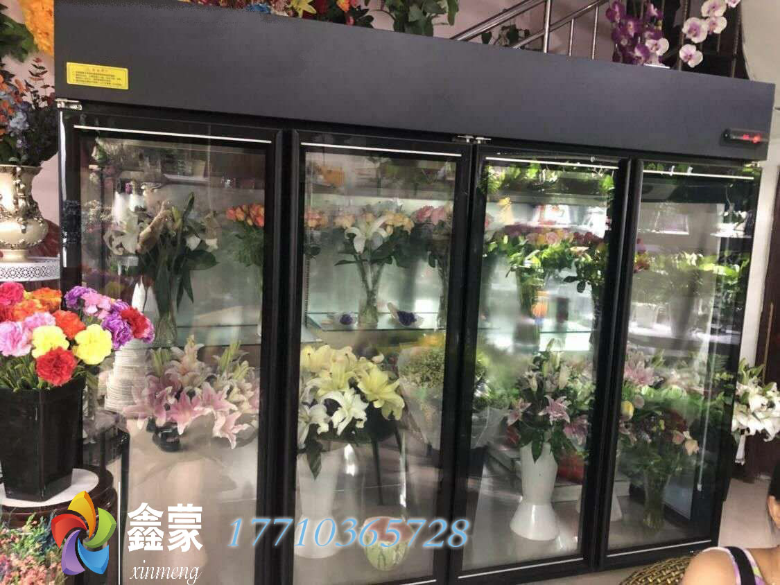 二门三门鲜花柜鑫蒙鲜花冷藏柜鲜花展示柜直冷风冷鲜花店保鲜柜在类目 厨房电器, 商用厨电, 展示柜中 - 来自Buy2taobao.com提供专业的淘宝代购服务