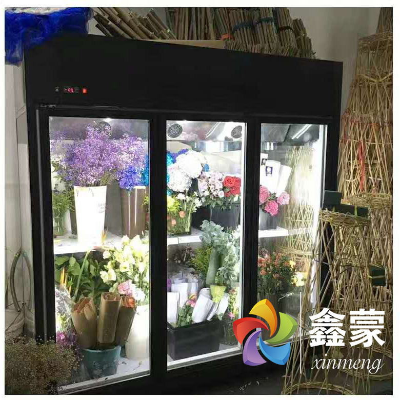 直冷風冷保鮮櫃鮮花櫃鮮花保鮮冷藏展示鮮花店冰鮮花冰箱保鮮櫃在類目 廚房電器, 商用廚電, 展示櫃中 - 來自Buy2taobao.com提供專業的淘寶代購服務