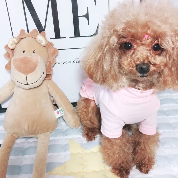 宠物陪睡玩具 宠物磨牙洁齿安抚玩具 博美比熊 泰迪狗狗毛绒玩具|msdalam kategori haiwan peliharaan/makanan haiwan dan bekalan, Cat/Mainan anjing, mainan bunyi - dari Buy2taobao.com untuk memberikan perkhidmatan ejen Taobao profesional membeli