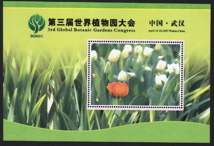 O060 中国武汉2007年第三届世界植物园大会无齿纪念张 花卉在类目 古董/邮币/字画/收藏, 邮品, 中国邮票中 - 来自Buy2taobao.com提供专业的淘宝代购服务