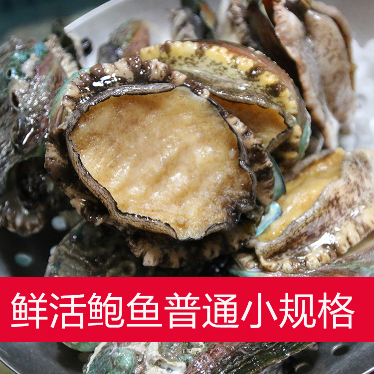 鮑魚鮮活 活鮑魚 海鮮類水産品生鮮 鮑魚 貝類50克每只在類目 水產肉類/新鮮蔬果/熟食, 海鮮/水產品/製品, 貝類, 鮑魚中 - 來自Buy2taobao.com提供專業的淘寶代購服務