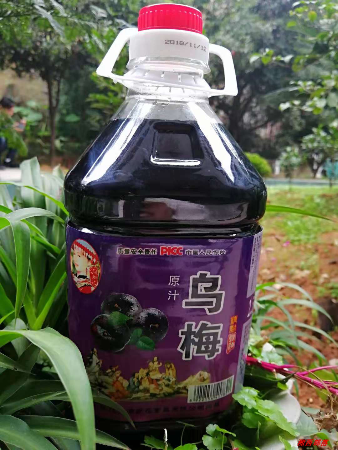 楊梅酒自釀原汁靖州烏梅子果酒女士紅酒甜酒8度賽桃花酒在類目 酒類, 配製酒/果酒中 - 來自Buy2taobao.com提供專業的淘寶代購服務