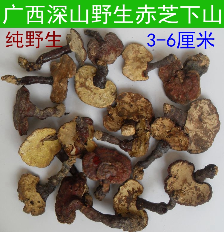 19年新摘广西深山小朵野生灵芝 赤灵芝整枝灵芝滋补煲汤泡茶250克在类目 传统滋补营养品, 灵芝, 整枝灵芝中 - 来自Buy2taobao.com提供专业的淘宝代购服务