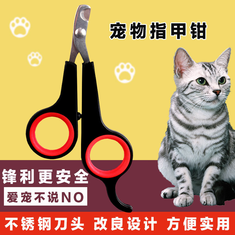 Bald House cat scissors Stainless steel Nippers Kittens Pets Nail cutters Mini Cats Nail clippersin the Pet/Pet food and supplies , Cat/Dog grooming cleaning supplies , Nail category - from Buy2taobao.com to provide professional Taobao agent buy service