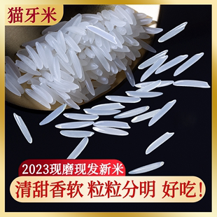 2023年新米大米5斤猫牙米长粒香米泰国香米，增城丝苗米农家象牙米
