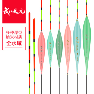 武汉天元全水域纳米浮漂鲢鳙漂综合漂大物漂浅水漂高灵敏行程鱼漂