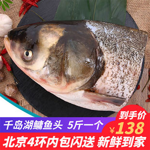 5-10斤个千岛湖鱼头新鲜胖头鱼，鳙鱼头花鲢鱼头淡水鱼海鲜