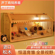 芦丁鸡宠物饲养箱造景专用箱，鸡窝卢丁鸡养箱幼鸡的保温箱小鸡笼子
