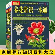 图解养花常识一本通家庭养花知识百科养花书籍大全，图解方法掌握家庭养花解决养花难题家庭阳台种植花草盆栽多肉植物新手四季养花