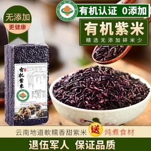 云南紫糯米2024年新米5斤紫米有机糯米，饭团专用紫糯米