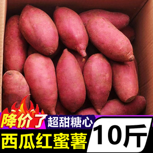 广西超甜糖心西瓜红蜜薯10斤新鲜地瓜沙地板栗薯番薯红薯农家自种