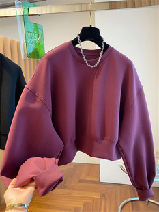 高级洋气设计感小众宽松休闲紫色圆领卫衣女春秋短款高腰套头上衣
