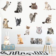 仿真可爱猫咪瓷砖墙面自粘贴纸可移除宠物店铺卧室猫咪墙贴画