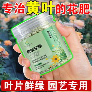 硫酸亚铁肥料亚硝酸铁杜鹃花蟹爪兰铁树叶子黄喜酸植物专用营养液