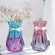 二件套欧式简约透明彩色水培富贵竹百合干花绿萝玻璃花瓶摆件