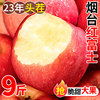 烟台红富士苹果水果新鲜当季整箱10斤栖霞冰糖心青丑小平安果