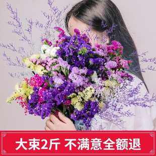 直播云南勿忘我干花花束假花仿真花摆设真花鲜花插花