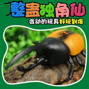 跨境遥控甲虫感应小动物昆虫小虫子，仿真整人恶搞整蛊电动玩具
