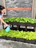 花箱户外室外种植箱阳台种菜专用蔬菜塑料花盆长方形种菜盆特大号