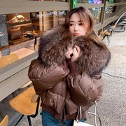 羽绒棉服女2023年欧货可拆卸大毛领短款面包服韩版宽松外套