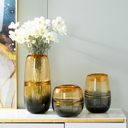 美式玻璃花瓶透明水养鲜花，插花器干花，装饰品摆设现代简约客厅摆件