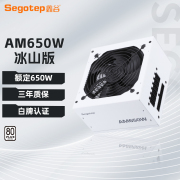 鑫谷电源AM650W冰山版白色电脑电源台式机额定750W全模组主机850W