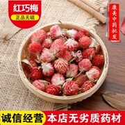 红巧梅 花草茶 特级 红巧梅茶 新货红巧梅500克 散装 野生