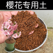 樱花专用土营养土樱花土有机酸性土壤家用盆栽植物种植土红土花肥