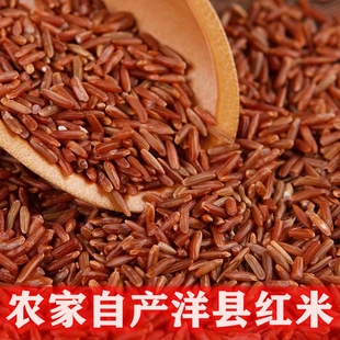 洋县红米5斤农家自产杂粮红大米红香米梗米红糙米胚芽米血稻米粥