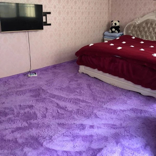 家用地毯卧室满铺可爱床边长毛绒客厅茶几，毯室内全铺房间大块地垫